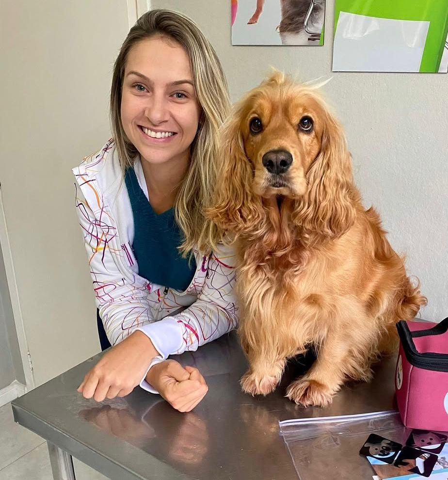 Agent at work Pampered paws travel